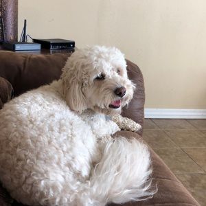 Meet your Posher, Marisol